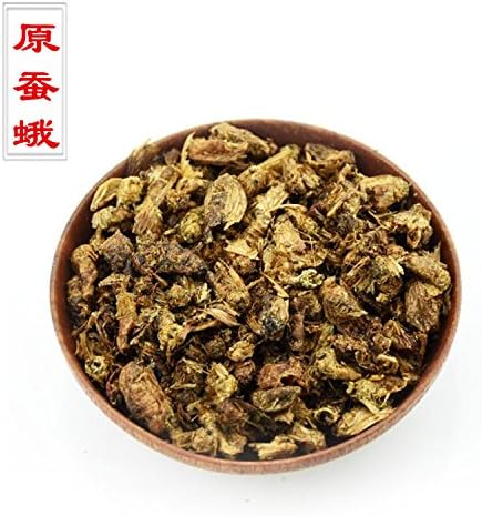 Tomox Late silkworm moth moth Wei Chinese silkworm moth Manduca in 500 grams
