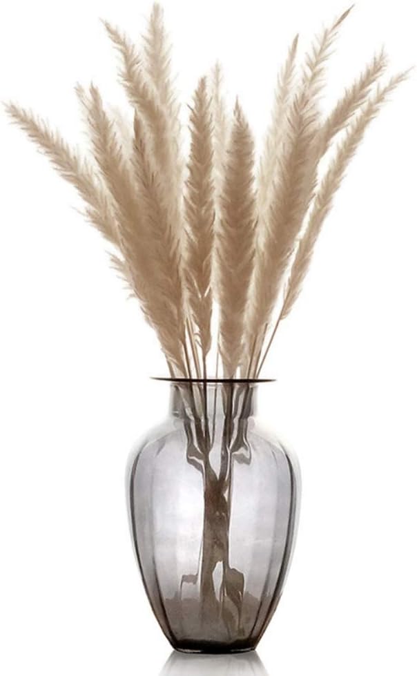 Anpay 15pcs Natural Dried Reed Flowers Bouquets Bunny Tails Rabbit Tail Grass for Home Tabletop Decoration