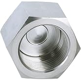 Pysrych Stainless Steel 304 Pipe End Cap Hex Head 3/4" NPT Female 1pc | Heavy Duty High Preesure with Seal Washer for Water Oil Gas