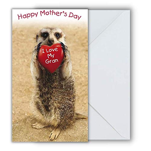 Face Ache Mother's Day Card For Gran, Meerkat I Love My Gran Heart, Multicoloured
