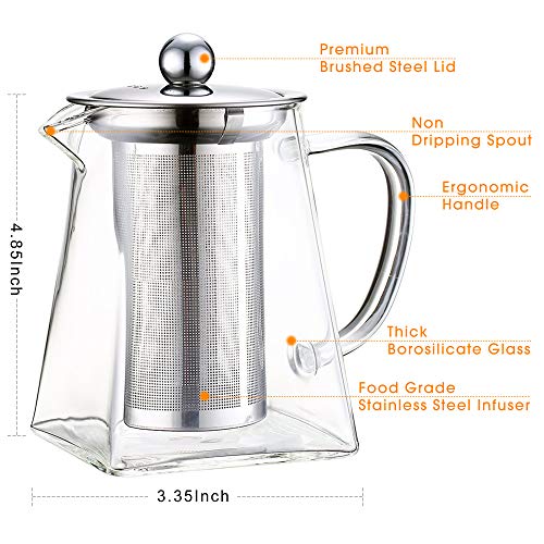 Highbor Clear Glass Tea Pot with Strainer, 500 ml/16.9oz Borosilicate
