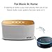 COMISO 30W Bluetooth Speakers with Super Bass, Bamboo Wood Home Speaker with Subwoofer - (Grey)