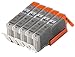 Blake Printing Supply 5 Pack Gray Compatible CLI-251XL CLI-251 CLI251XL Ink Cartridges for PIXMA iP8720, MG6320, MG7120, MG7520