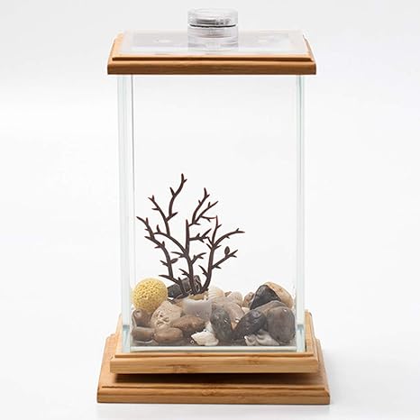 Amazon Co Jp 小さなベタ水槽アクアリウムホームリビングルームベッドルームオフィス用led照明付き360 回転式ミニクリエイティブガラスの 水槽の装飾 C ホーム キッチン