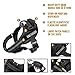 OneTigris MAD Hound Rugged K9 Vest Harness for Medium & Large Dog (Black, Medium)