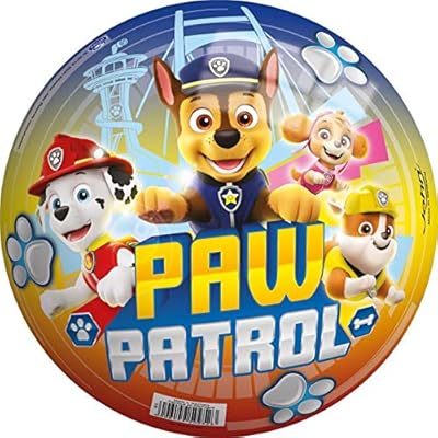 paw patrol summer toys