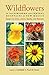 Wildflowers of the Northern and Central Mountains of New Mexico: Sangre de Cristo, Jemez, Sandia, and Manzano