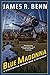 Blue Madonna (A Billy Boyle WWII Mystery Book 11) by James R. Benn