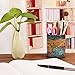COOLBROS Office Desk Accessories Pu Leather Cover Round Pens Pencils Holder Desk Organizer (world)