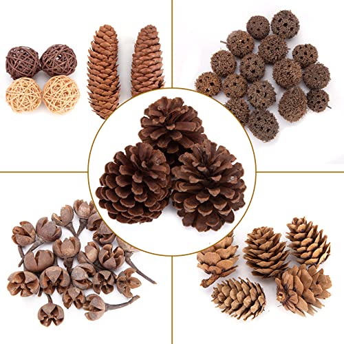 JOHOUSE 50PCS Natural Pinecones, Pinecone Ornaments Decorative Pinecones Assortment for Fall Winter Christmas Bowl Fillers