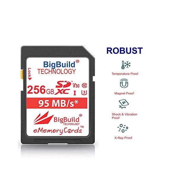 BigBuild Technology 256GB UHS-I U3 95MB/s Speicherkarte für Canon EOS 1200D, 1300D, 2000D, 200D, 4000D, 5DS, 5DS R, 77D… – Bild 5