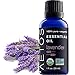 Aetos Organic Lavender Oil, USDA Certified Organic Essential Oils, Non GMO, 100% Pure, Natural, Therapeutic Grade Essential Oil, Best Aromatherapy Scented-Oils for Home, Office, Personal Use - 1 Oz