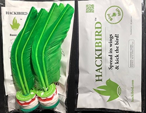 6 Hackibird+hacky+Great+children+adults