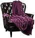 Chanasya Super Soft Warm Elegant Cozy and Decorative Velvet Fleece Aubergine Microfiber Throw Blanket (50