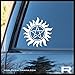 Anti-Possession symbol SMALL Vinyl Laptop Decal