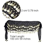 2 Pieces Belly Dance Skirts Hip Skirt Lady's Coin Belly Skirts Hip Scarf for Women Dancing Party Clothing Supplies 2 Pieces Belly Dance Skirts Hip Skirt Lady's Coin Belly Skirts Hip Scarf for Women Dancing Party Clothing Supplies