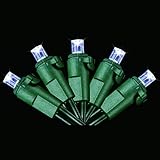 Cosmo Lighting Christmas / Outdoor / Patio Lights 60 count Concave LED String Lights, Green Wire, Cold White