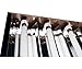 Hydrofarm Agrobrite Designer T5, FLP24, 96W 2 Foot, 4-Tube Fixture with Lamps, 2-Feet/4-Tube, Black