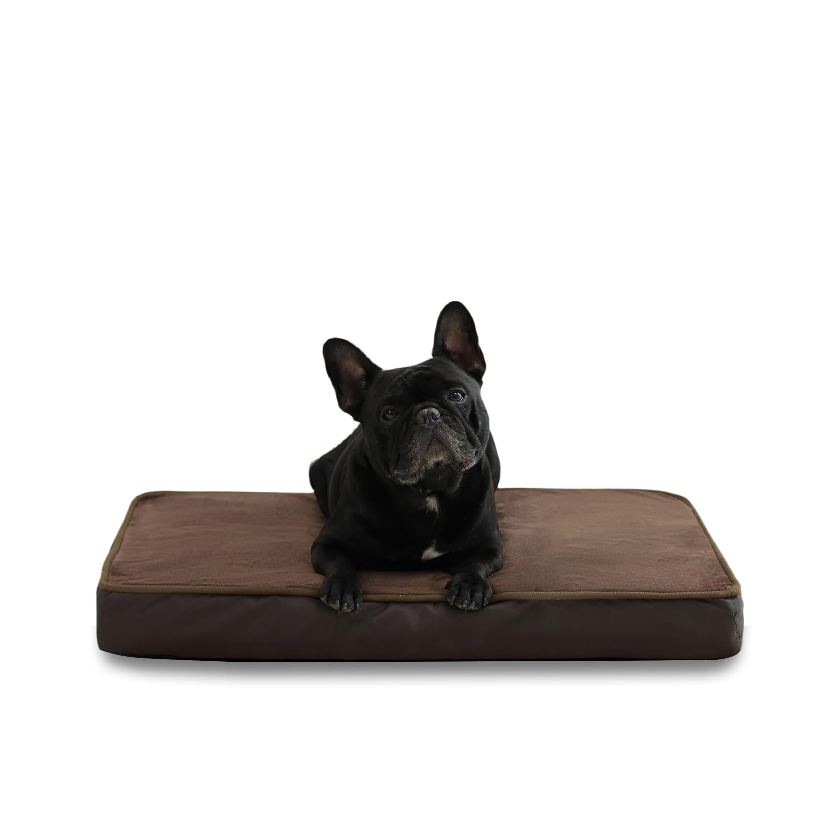 Jaspuriea Medium Dog Bed Washable with Waterproof Removable Cover, Orthopedic Dog Beds with Anti-Slip Bottom, Deluxe Flannel Comfy Dog Crate Mattress, Brown, 75x50x9cm
