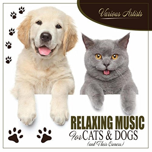 Source Of Music For Cats And Dogs
