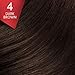 Vidal Sassoon Pro Series Permanent Hair Dye, 4 Dark Brown Hair Color, Pack of 1