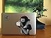 EppoBrand Ninja Snow White Revenge Bandit Assassin Holding Apple Vinyl Decal Sticker for 11