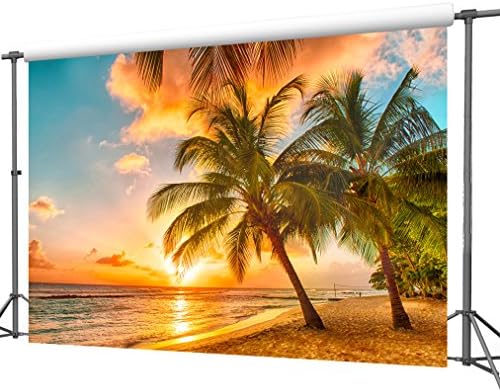 DULUDA 9X6FT Palm Beach Sunset Seamless Vinyl Customized Photography Backdrop Photo Background Studio Prop FS07B