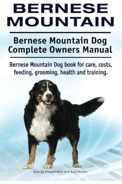 average price of a bernese mountain dog