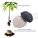 Konjac Sponges Natural Activated Bamboo Charcoal Makeup Cellulose Sponge For Face Cleansing Exfoliating Sensitive Skin Remover with Silicone Sponge Gift Set (4pcs Pack)