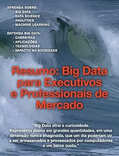 Livro RESUMO: Big Data para Executivos e Profissionais de Mercado