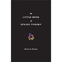洋書 String Theory and Pale Physics 9780521517522i.jpg