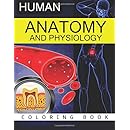 Anatomy & Physiology Coloring Book: Dr.Frank K. Michael, Anatomy ...