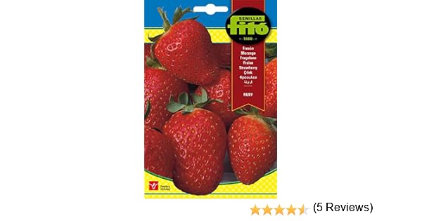 Semillas Fitó 1697 - Semillas de Fresón Ruby: Amazon.es: Jardín