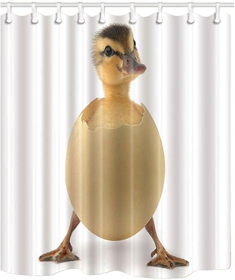 Amazon Gooeoo かわいいアヒルの赤ちゃんの卵のシャワーカーテン3dプリント防水コートポリエステル生地の浴室から12フック71インチ シャワーカーテン ホーム キッチン オンライン通販