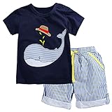 Fiream Little Boys' Cotton Clothing Short Sets