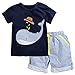 Fiream Little Boys' Cotton Clothing Short Baby Sets(2001TZ,2T)