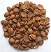Natural Apricot Kernels Raw (Seeds) 430g Bag 1lb