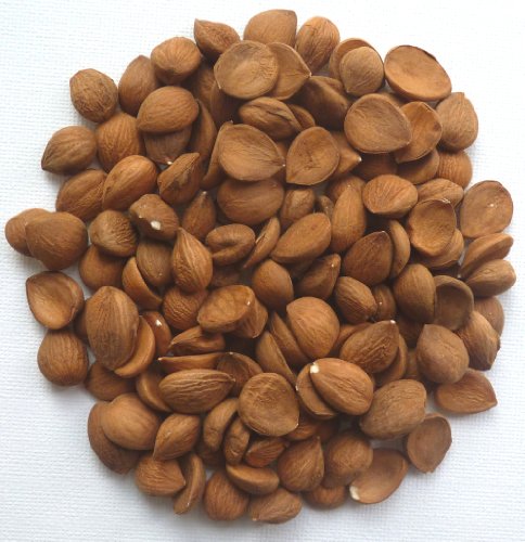 Bitter Apricot Seeds Raw 100% Organic (Kernels) 200g Bag 1/2lb