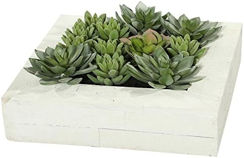 Vickerman Fe173101 Succulent Wall Arrangement