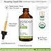 Rosehip Seed Oil by Pure Acres Farm. USDA Certified Organic, Cold Pressed, 100% Unrefined, Hexane Free. Essential Oil for Face, Nails, Hair, Skin. Reduce Acne Scars (1oz)