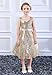 Bow Dream Lovely Lace V-Neck Sleeveless Flower Girl Dress