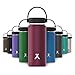 BEAR GRYLLS Triple Wall Vacuum Insulated Water Bottle for 12 Hours Hot | 24 Hours Cold, BPA Free