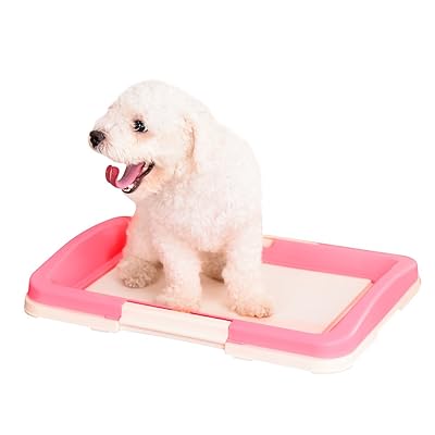 Yunt Toilette Pour Animal Petit Plateau De Toilette à