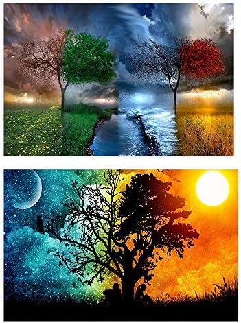 Twuky 5D DIY 2 Pack Full Drilling Diamond Painting,by Number Kits Crafts & Sewing Cross Stitch，Wall Stickers for Living Room Decoration,Starry Sky and Four Seasons(12X18inch/30X45CM)