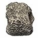 SAFETYON Hide a Spare Key Fake Rock Realistic Rock Outdoor Key Holder Safe for Outdoor Garden or Yard