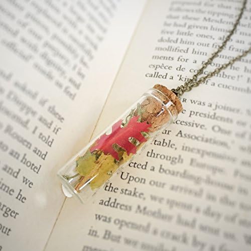 Glass Bottle Maple Oak Leaves Necklace - Glass Bottle - Leaf - Mori Girl - Real - Kid - Natural - Statice - Woodland - Dried - Garden - Moss - Green - Red - Yellow - Charm