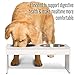 PetFusion Elevated Bamboo Dog Feeder (New) with Water Resistant Seal. (8
