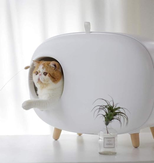 amazon cat toilet training