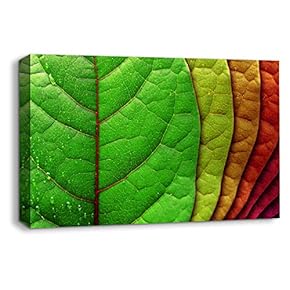 Leaf Veins Pictures Home Wall for Bedroom Living...