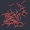 100-PCS-Red-Worm-Soft-Rubber-Fishing-Lures-Baits-15-Inch-4-cm
